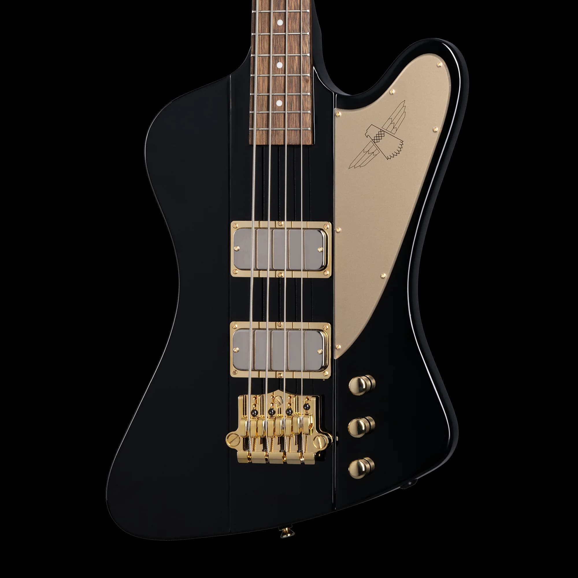 Epiphone Rex Brown Thunderbird Bass, Ebony