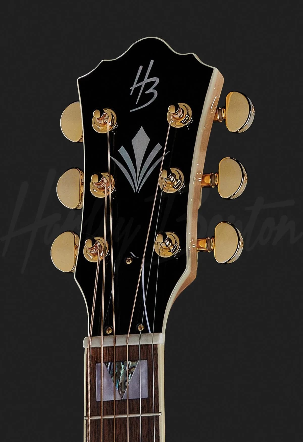 Harley Benton CL King-CE NT — photo 6