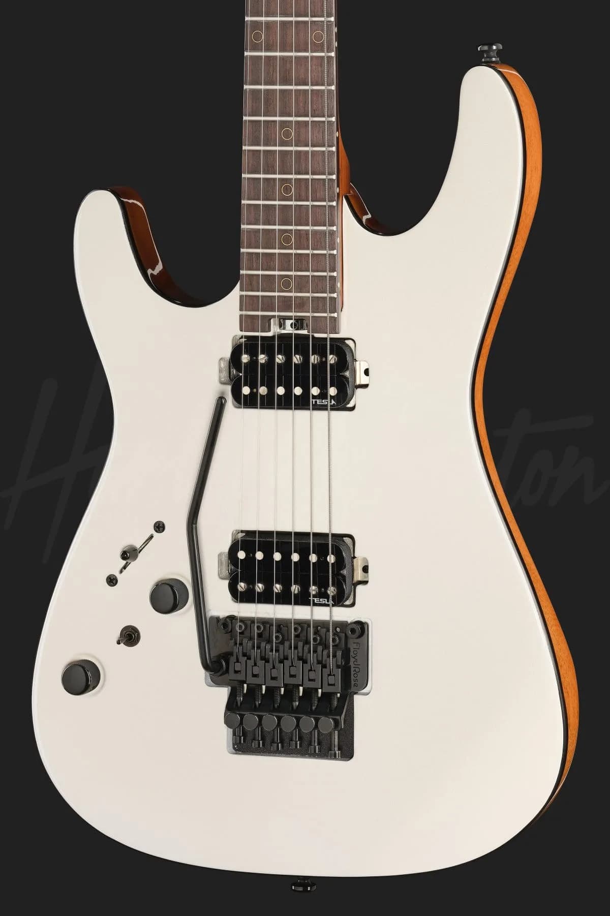 Harley Benton Fusion-IV HH LH RW FR WM — photo 4