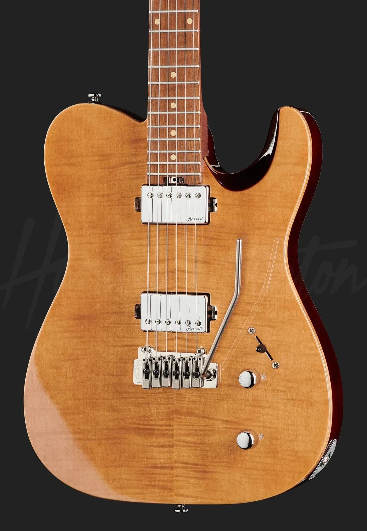 Harley Benton Fusion-T HH Roasted FNT — photo 4