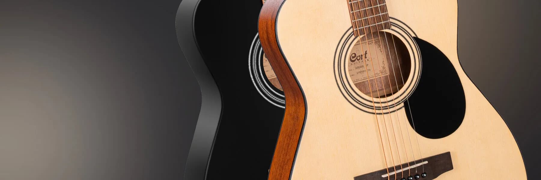 Cort Standard AF510