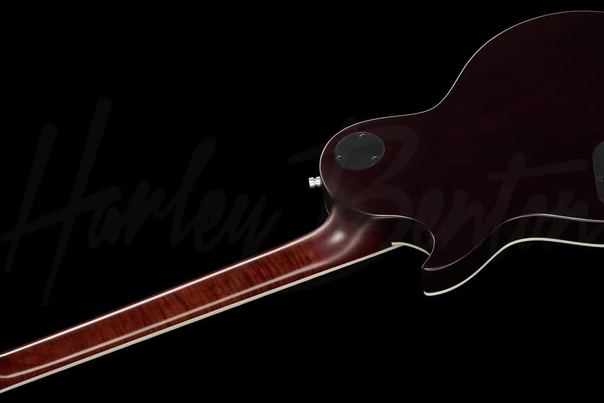 Harley Benton Agufish LTD Signature — photo 8