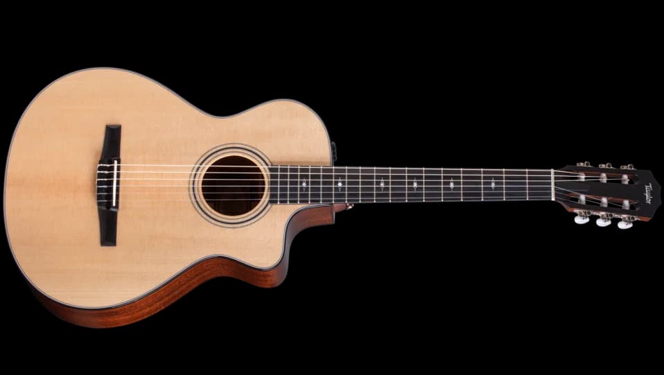 Taylor 312ce-N