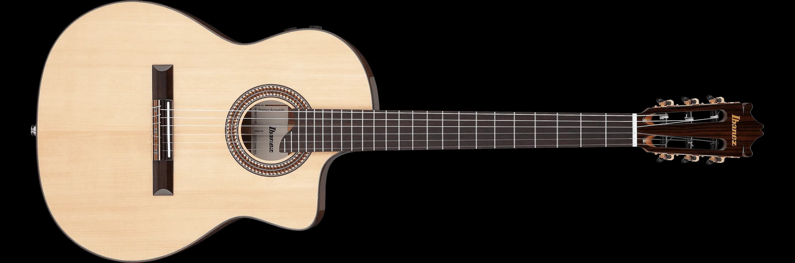 Ibanez GA360TCE