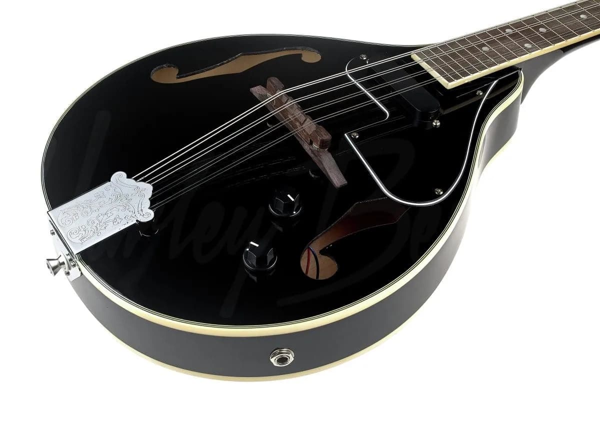 Harley Benton MA-50E BK — photo 5