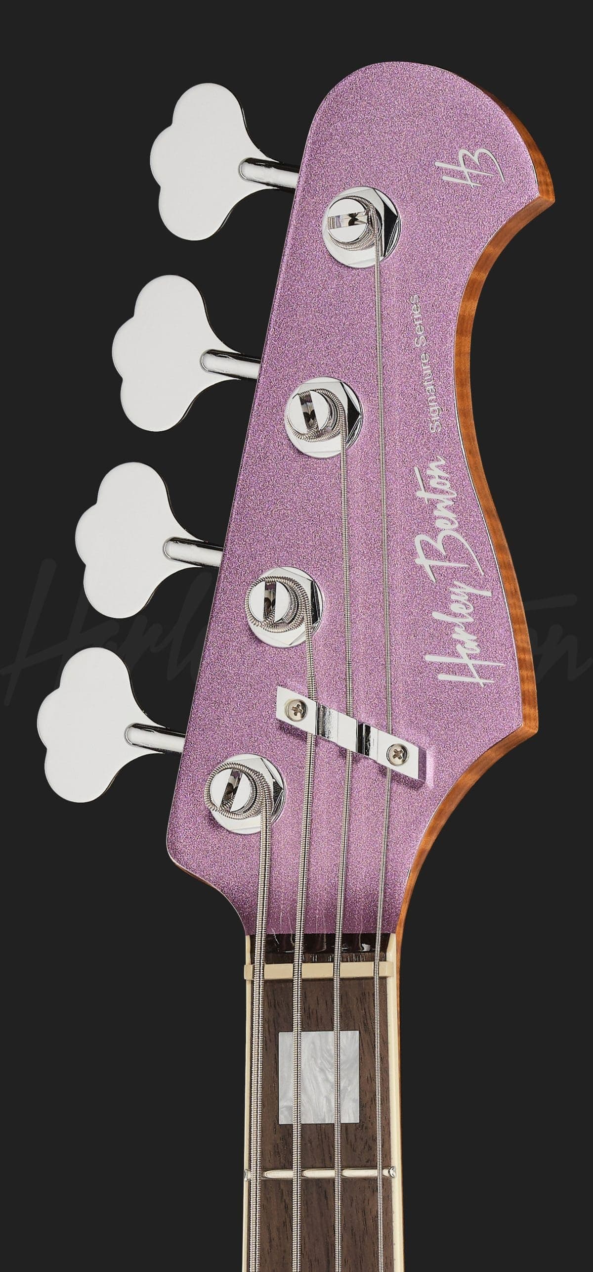 Harley Benton MV-4JB Plus BassTheWorld — photo 6