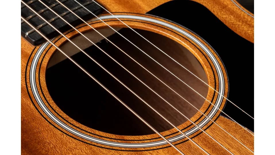 Taylor GS Mini Mahogany — photo 7