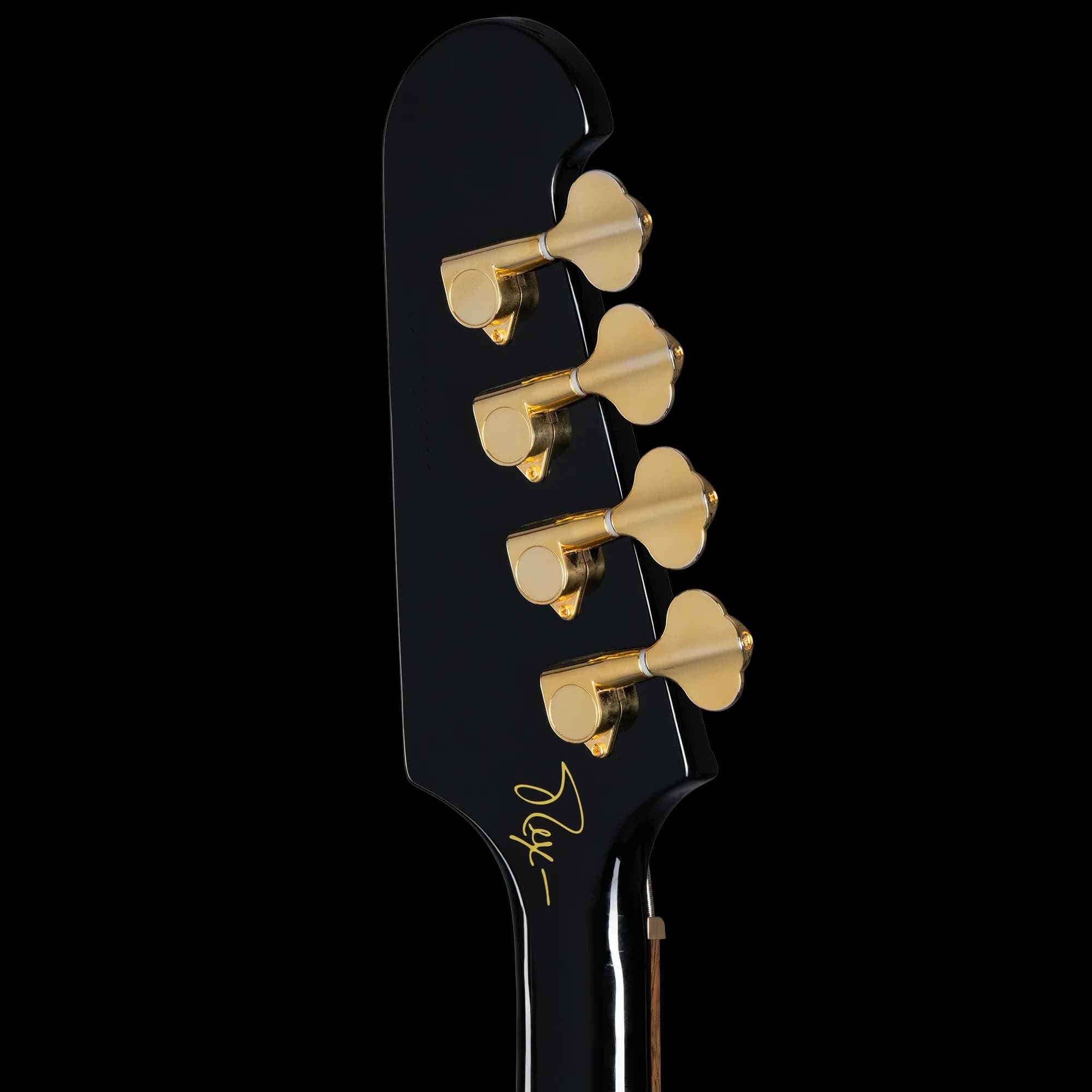 Epiphone Rex Brown Thunderbird Bass, Ebony — photo 6