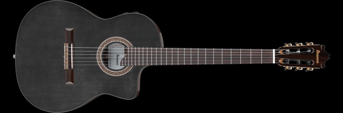 Ibanez GA360TCE — photo 2