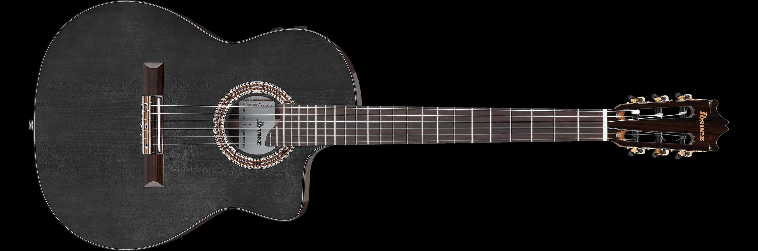 Ibanez GA360TCE — photo 2