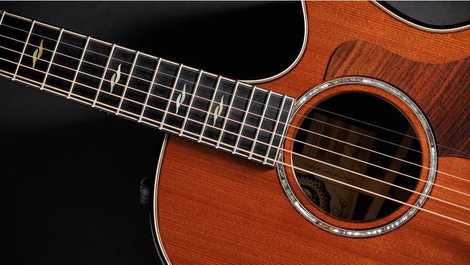Taylor 50th Anniversary Builder's Edition 814ce LTD — photo 7