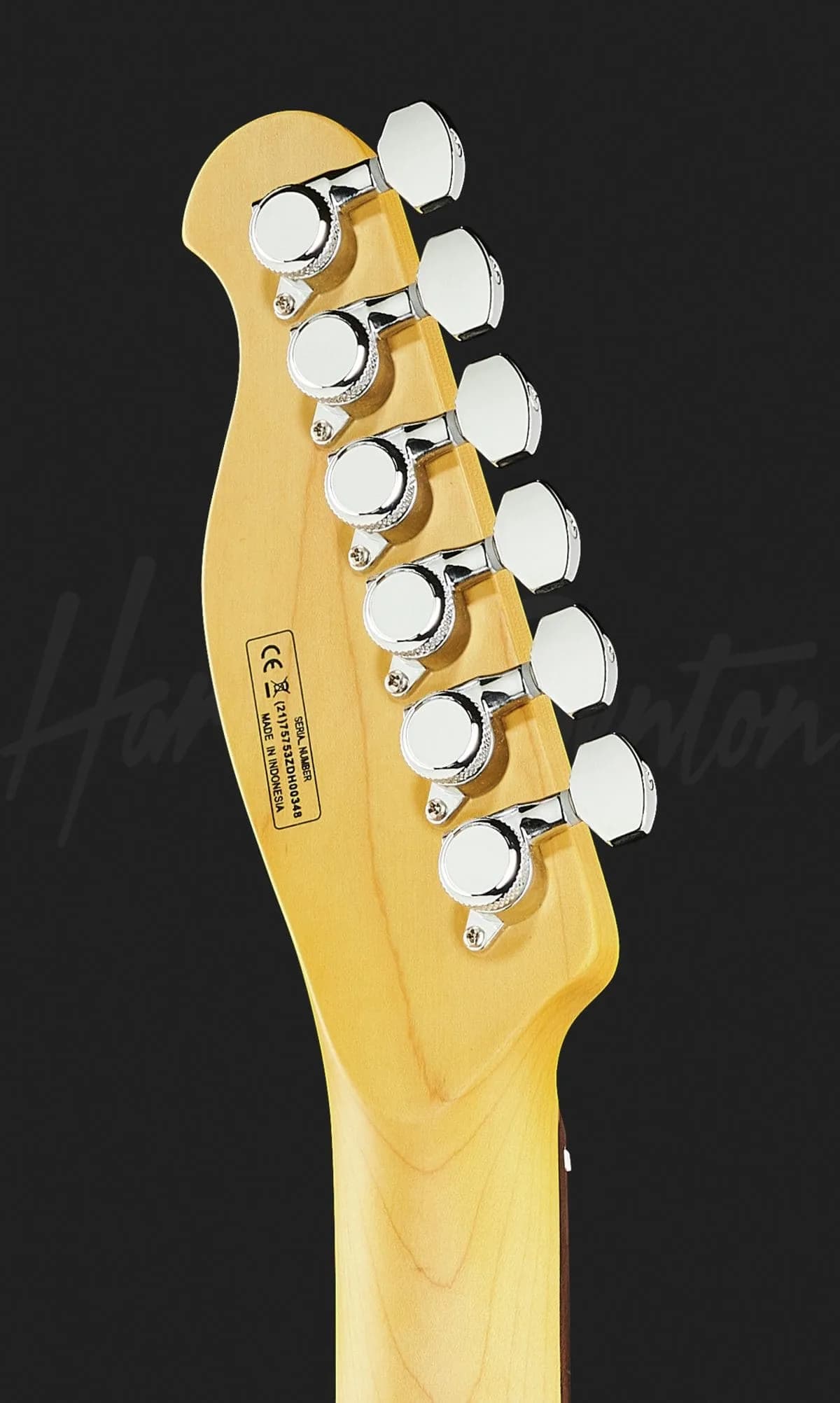 Harley Benton Fusion-T HH EB OCT — photo 7