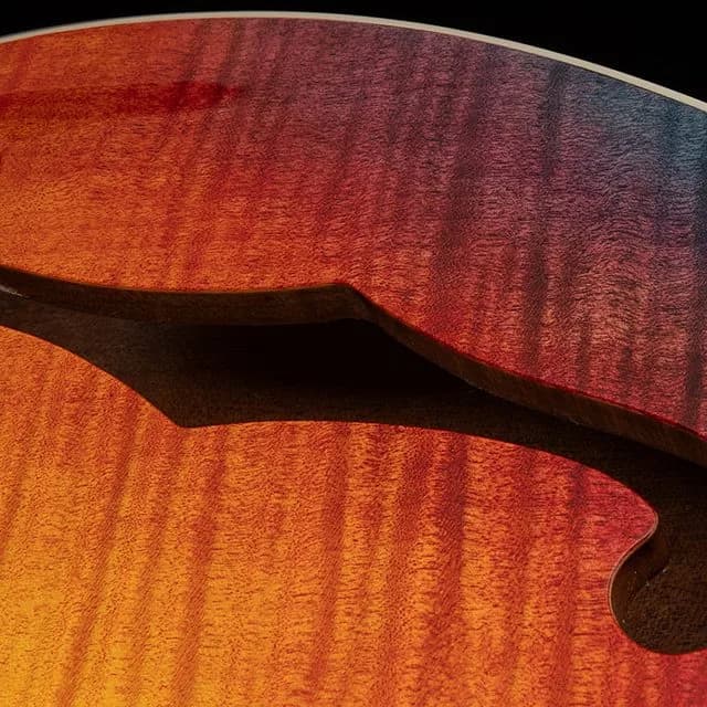 PRS SE Ed Sheeran (Hollowbody I Piezo - Baritone) — photo 6