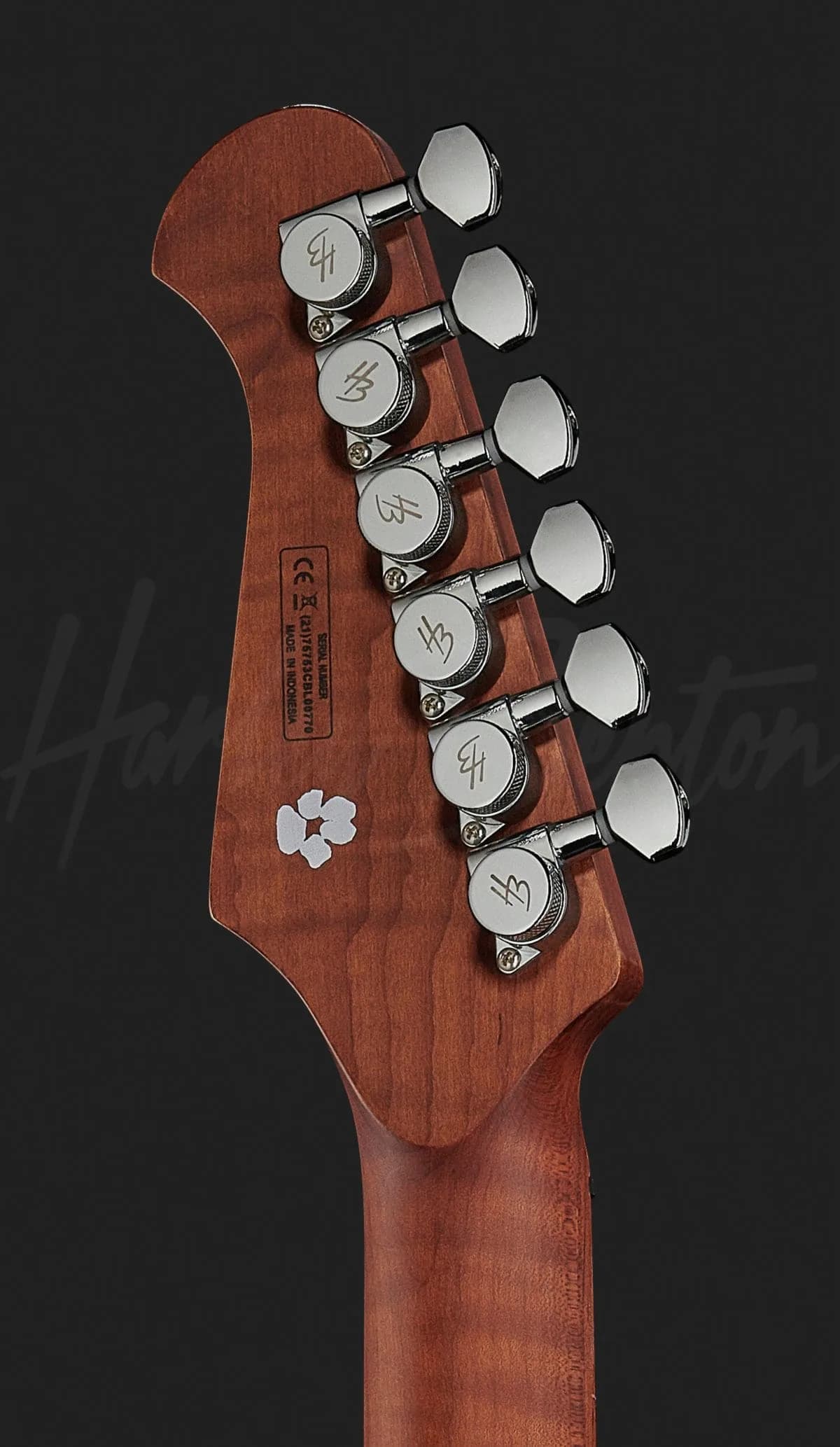 Harley Benton HP-42 Signature TT Roasted — photo 7