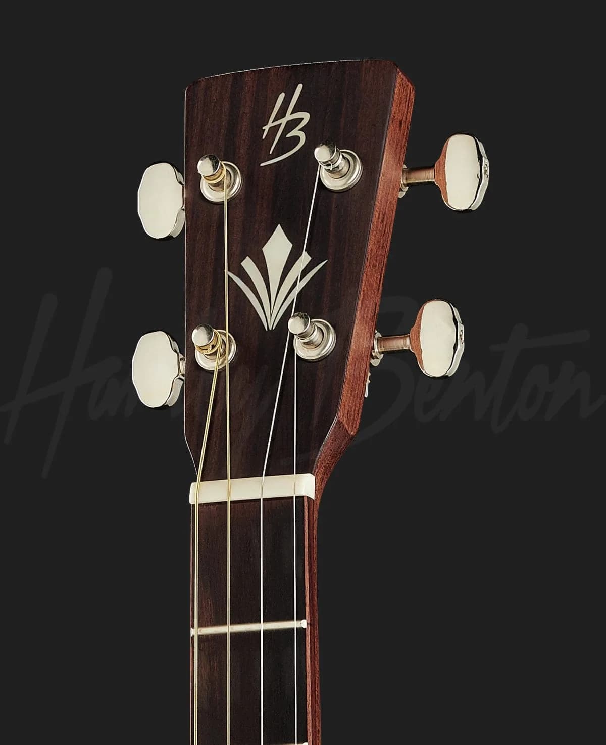 Harley Benton CLT-20S Tenor — photo 6