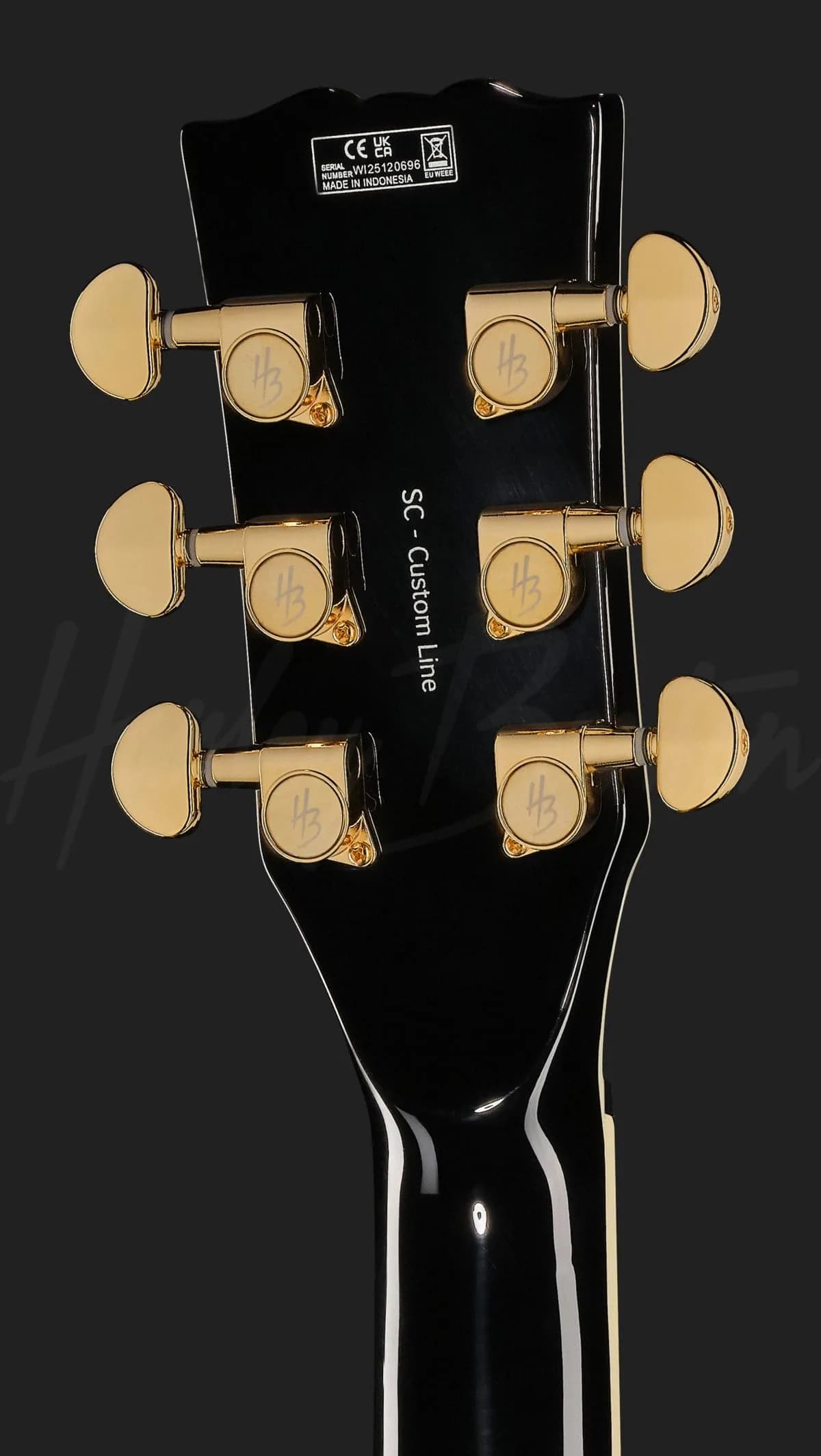 Harley Benton SC-Custom III P90 Black — photo 7