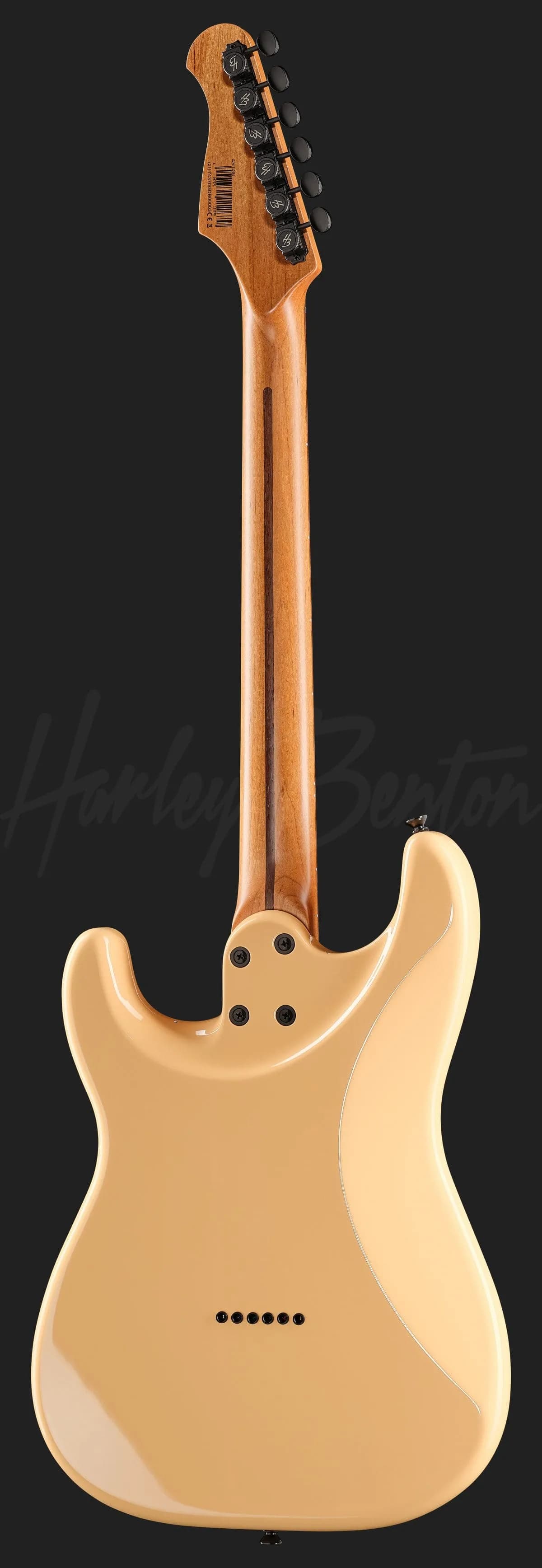 Harley Benton ST-Modern HH DM — photo 3