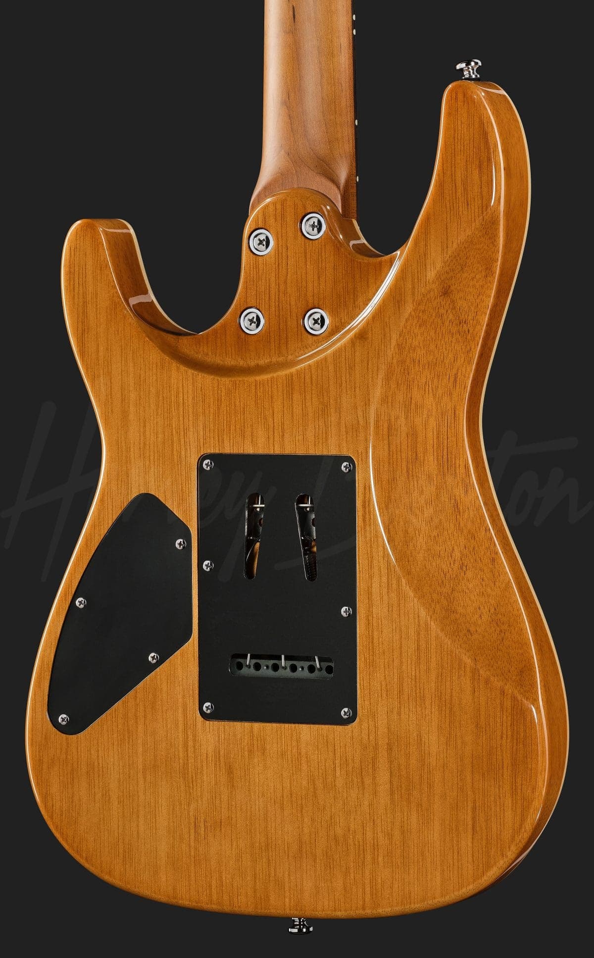 Harley Benton Fusion-IV HSS RW RM — photo 5