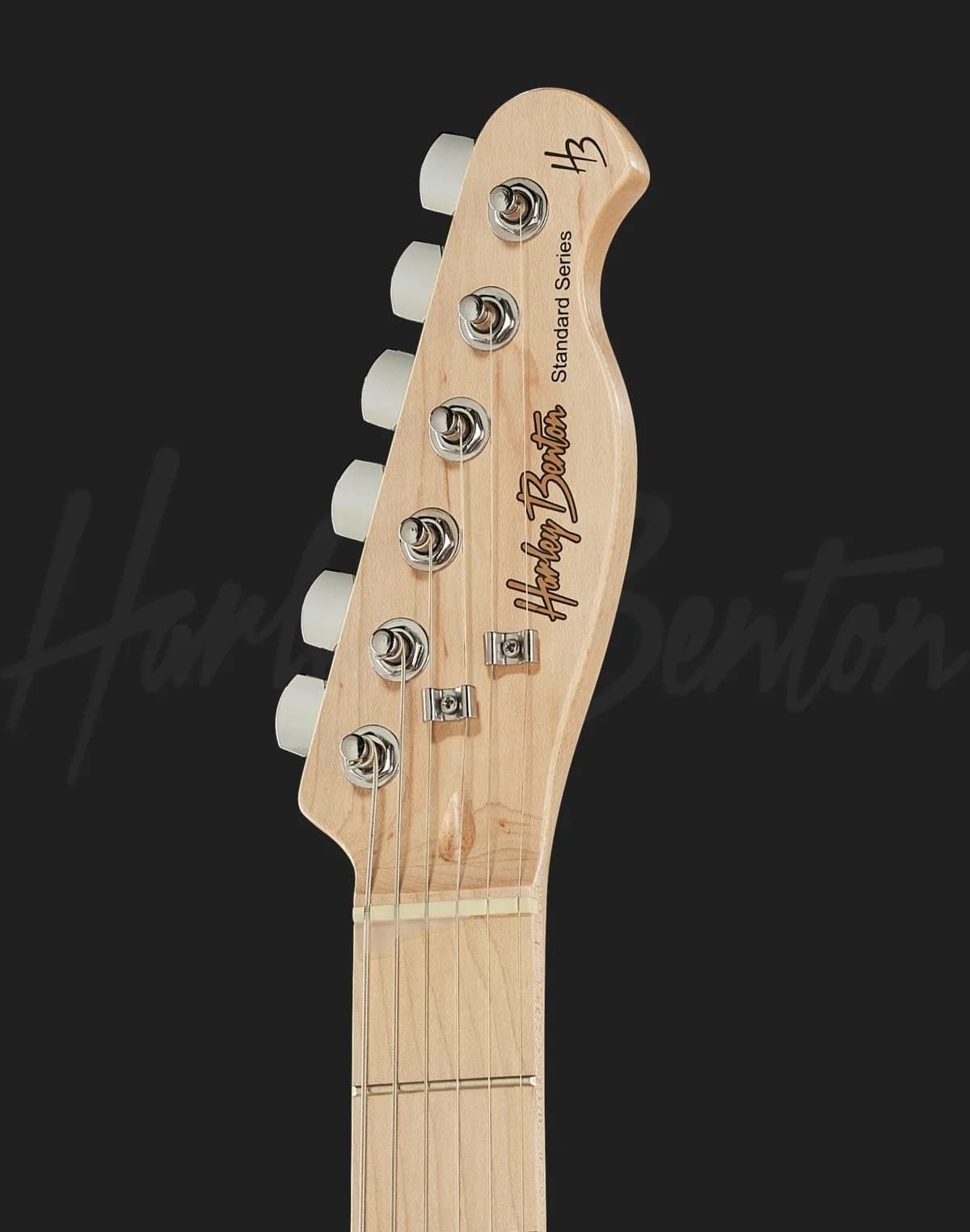Harley Benton TE-30 BE — photo 6