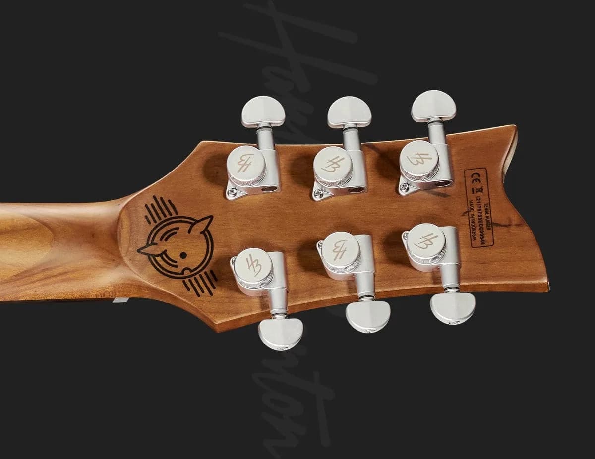 Harley Benton Agufish STD Signature BK — photo 7