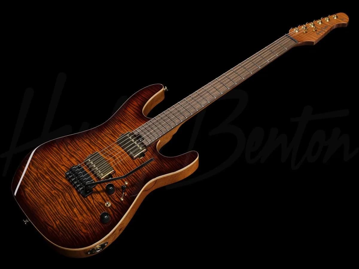 Harley Benton Fusion-IV HH RW FBB — photo 8