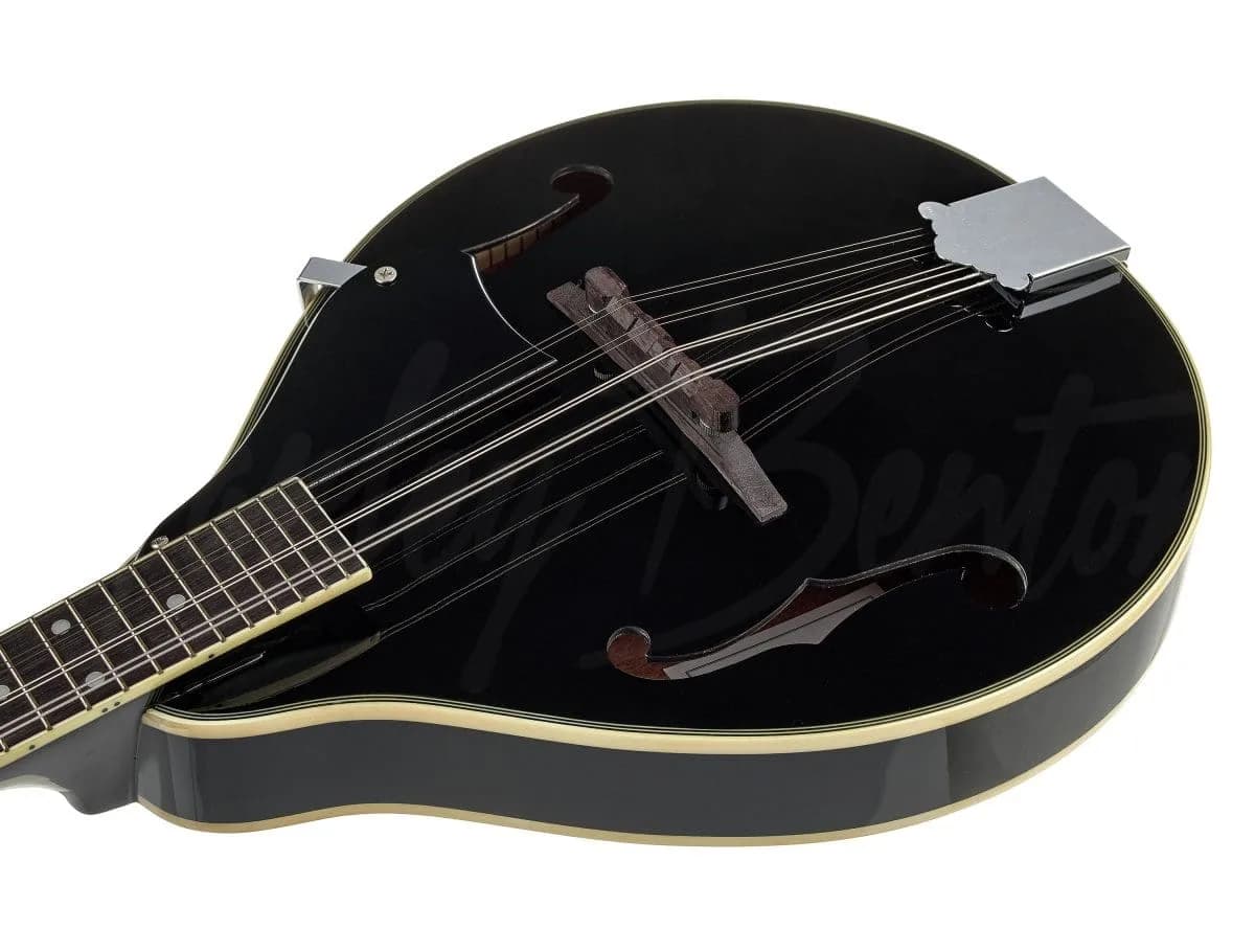 Harley Benton MA-50 BK — photo 6