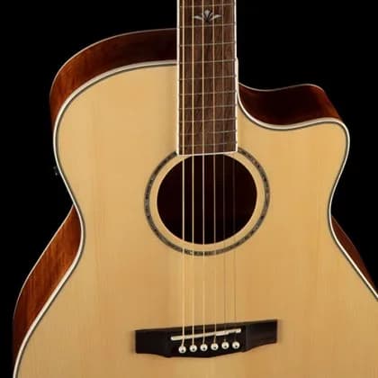 Cort Grand Regal GA-FF — photo 2