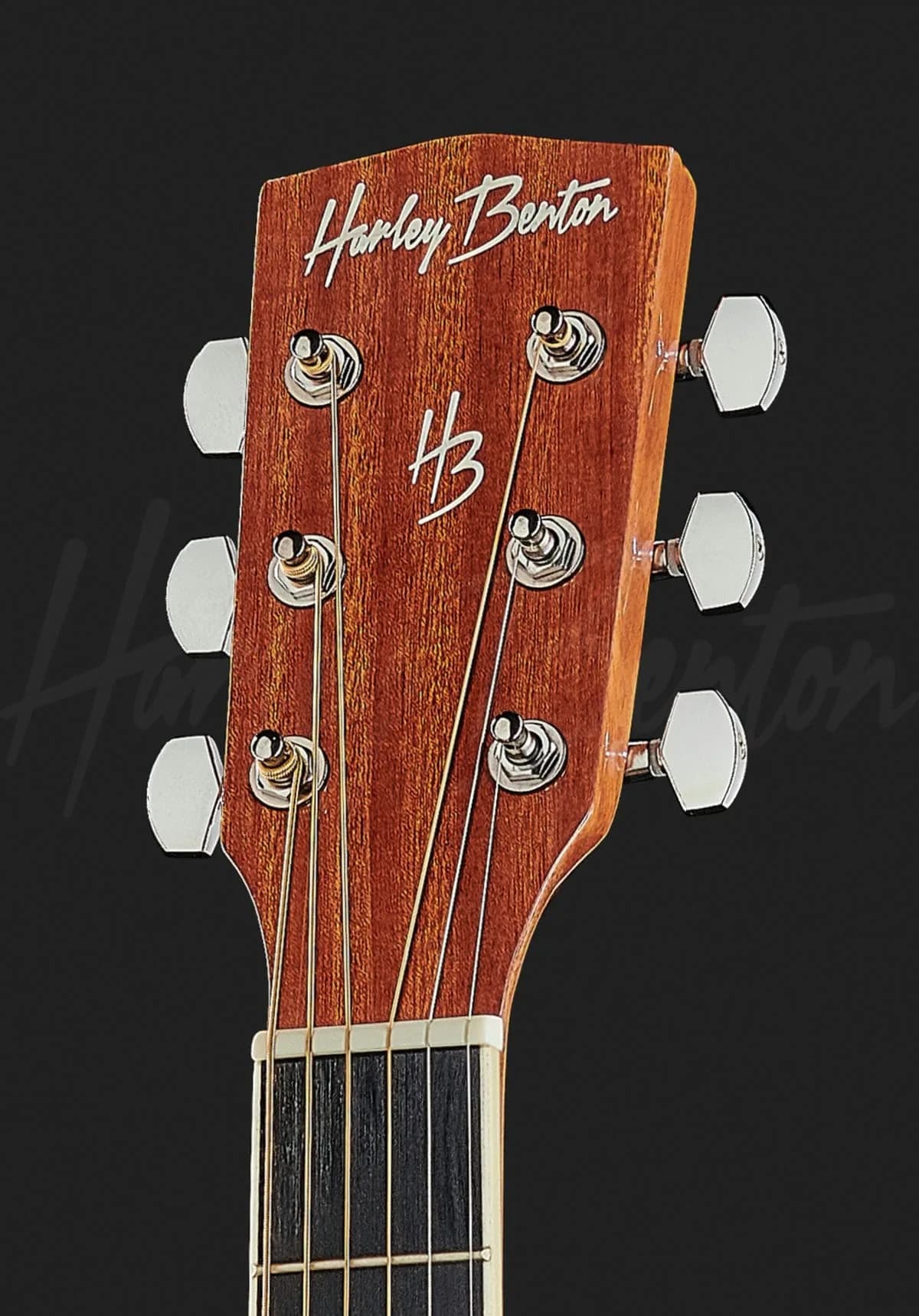 Harley Benton D-120CE VS — photo 6