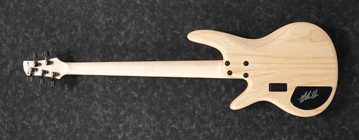 Ibanez GWB1005 — photo 5