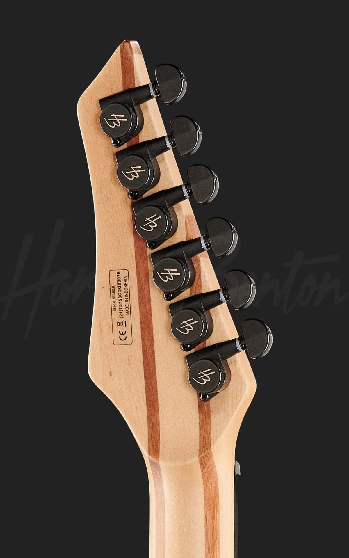 Harley Benton Amarok-BT LH BKNT Flame Burst — photo 7