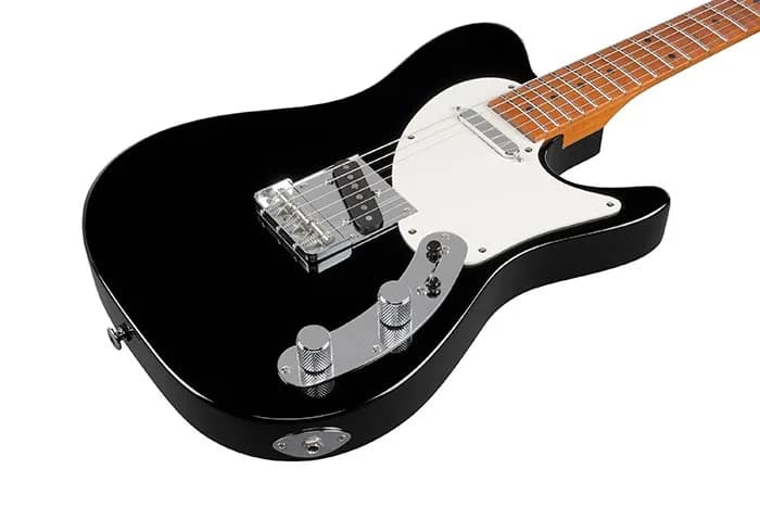 Ibanez FLATV1 — photo 2