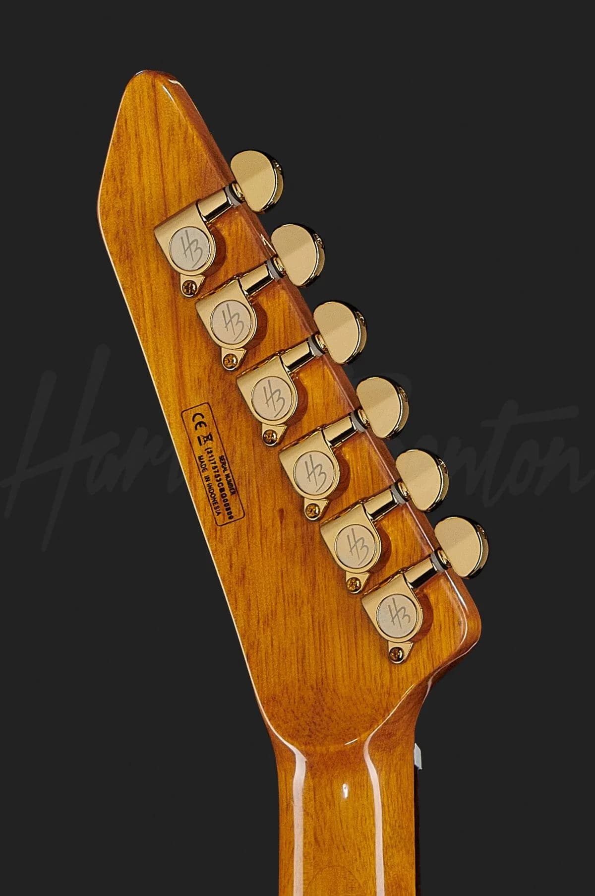 Harley Benton EX-76 Classic GHW AN — photo 7