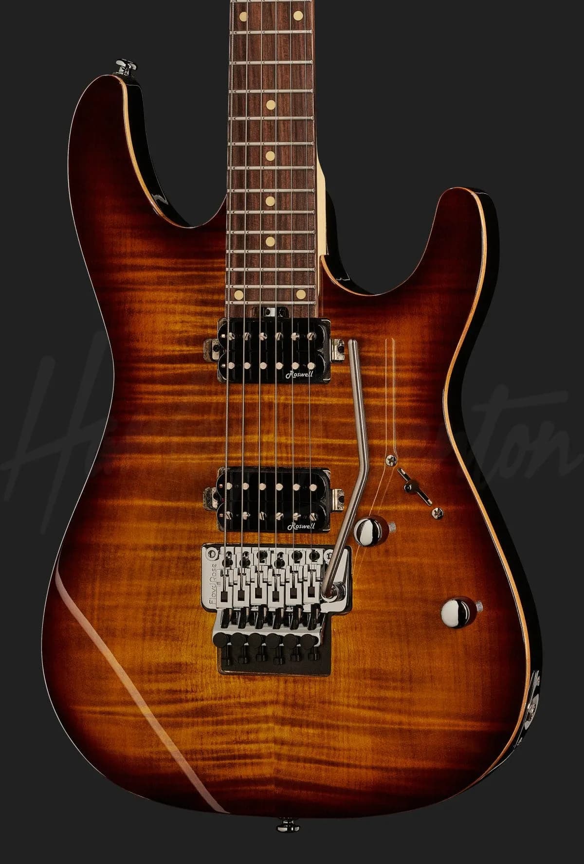 Harley Benton Fusion-III HH FR EB FBB — photo 4