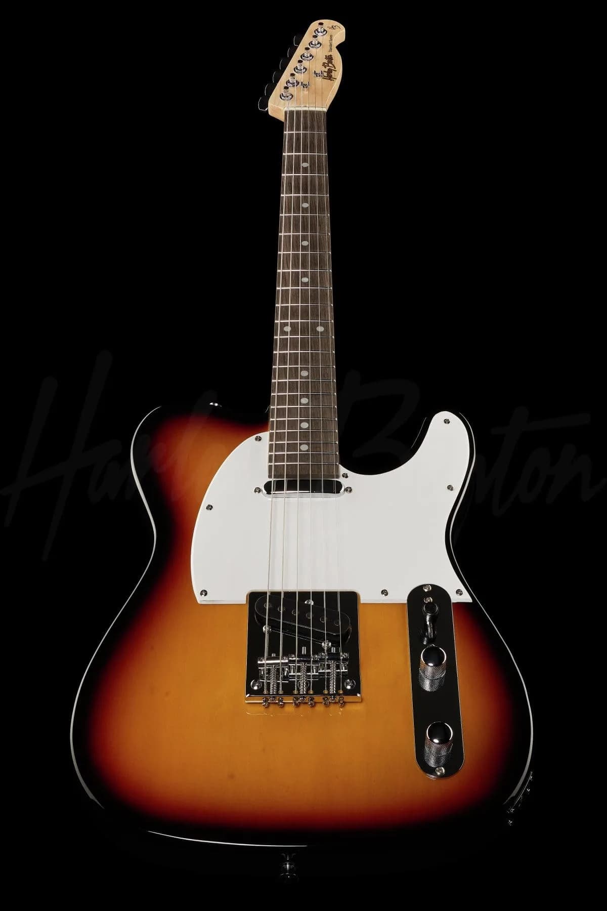 Harley Benton TE-20 SB — photo 8