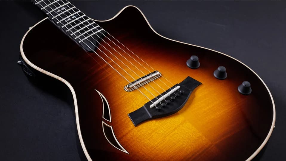 Taylor T5z Pro, Tobacco Sunburst — photo 6