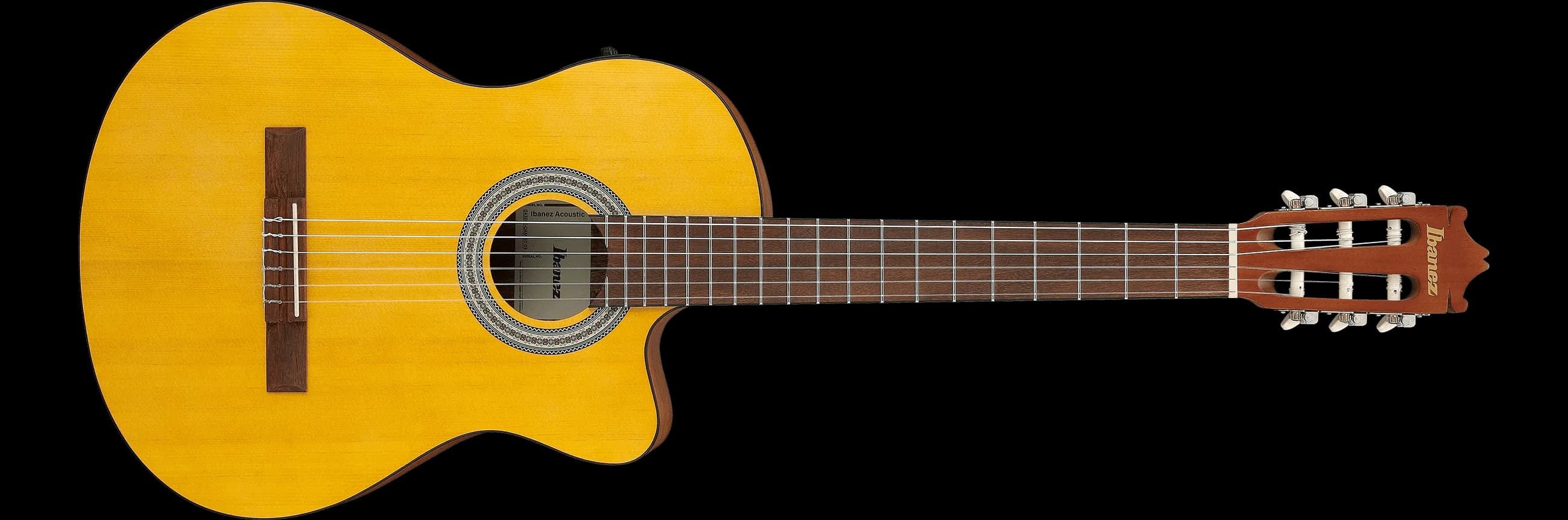 Ibanez GA3ECE