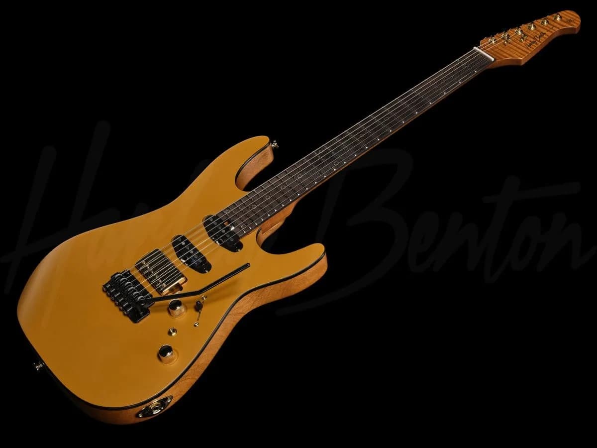 Harley Benton Fusion-IV HSS RW SGD — photo 8