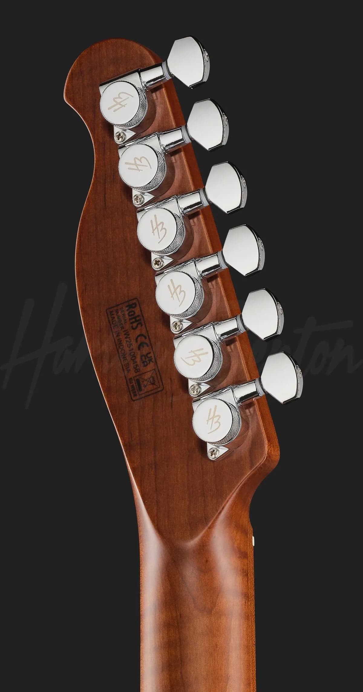 Harley Benton Fusion-T II HH MN QDG — photo 7