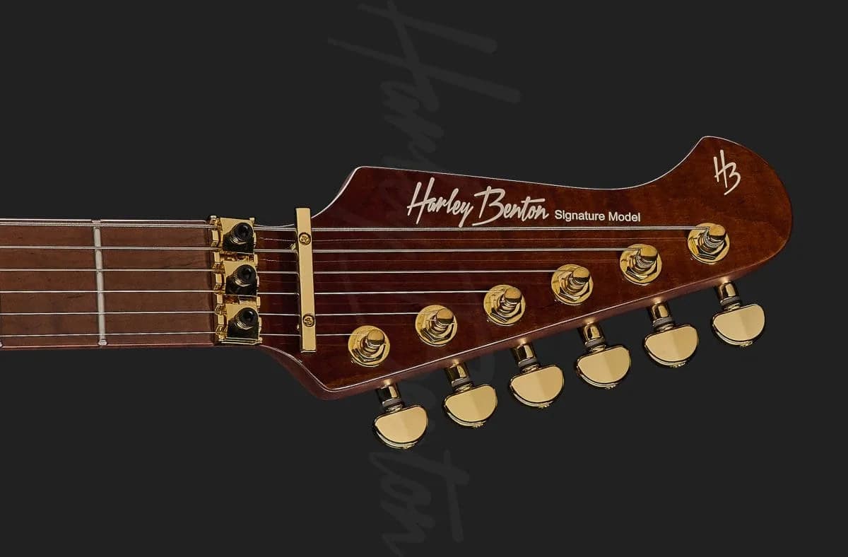 Harley Benton Guitar MAX Fusion Signature PF — photo 6