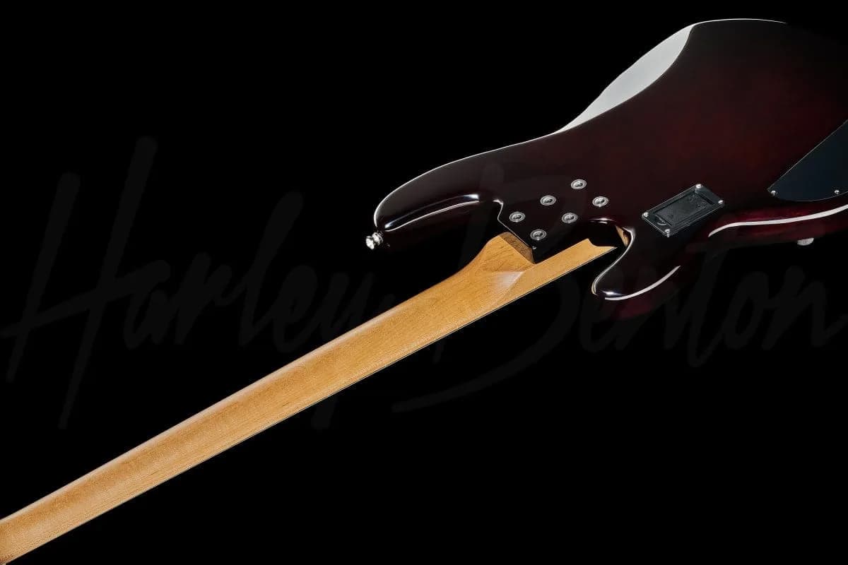 Harley Benton MM-84A SB — photo 8