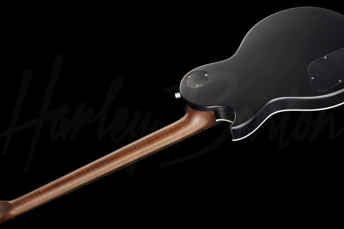 Harley Benton Agufish Standard STD BT BK — photo 8