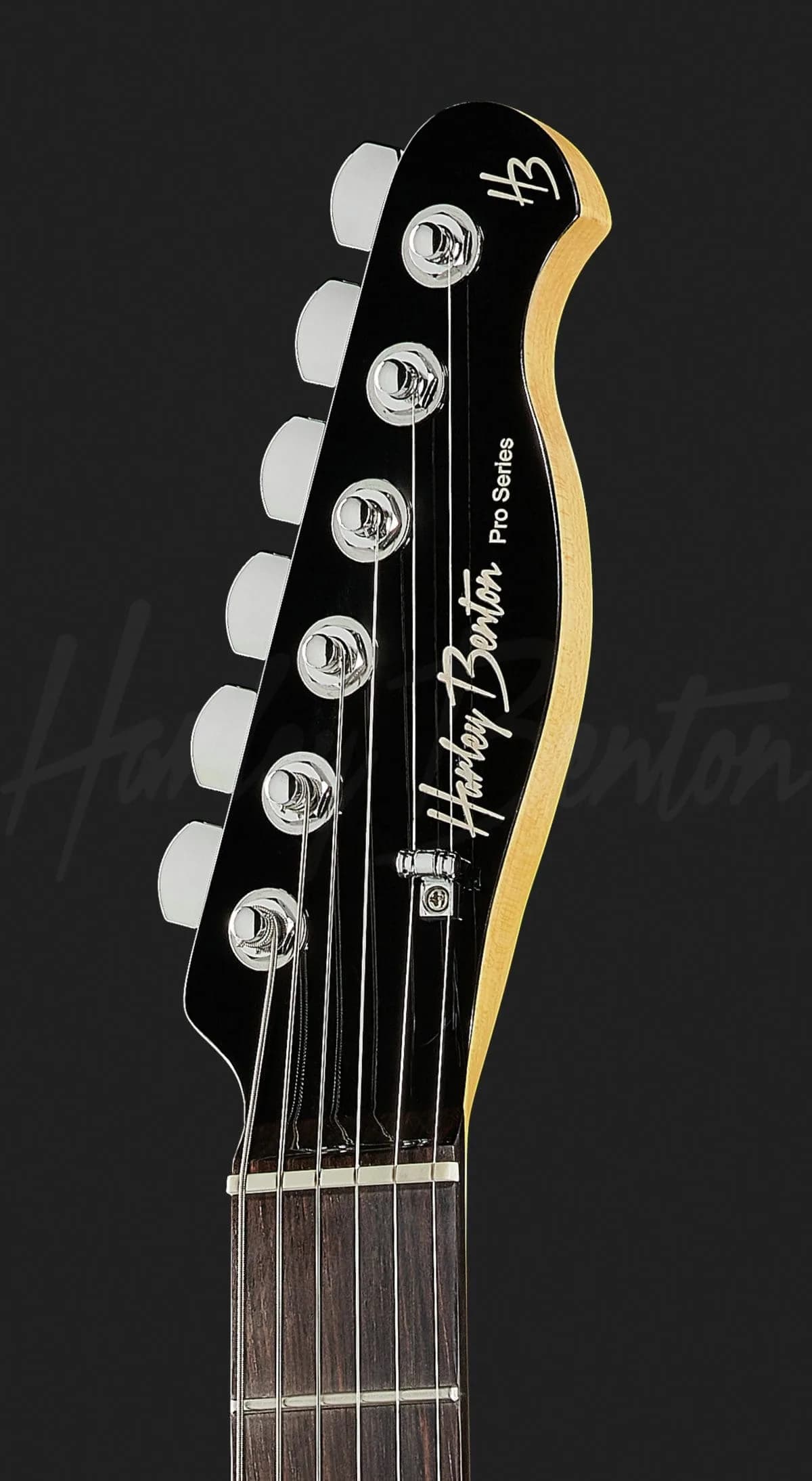 Harley Benton Fusion-T HH EB BK — photo 6