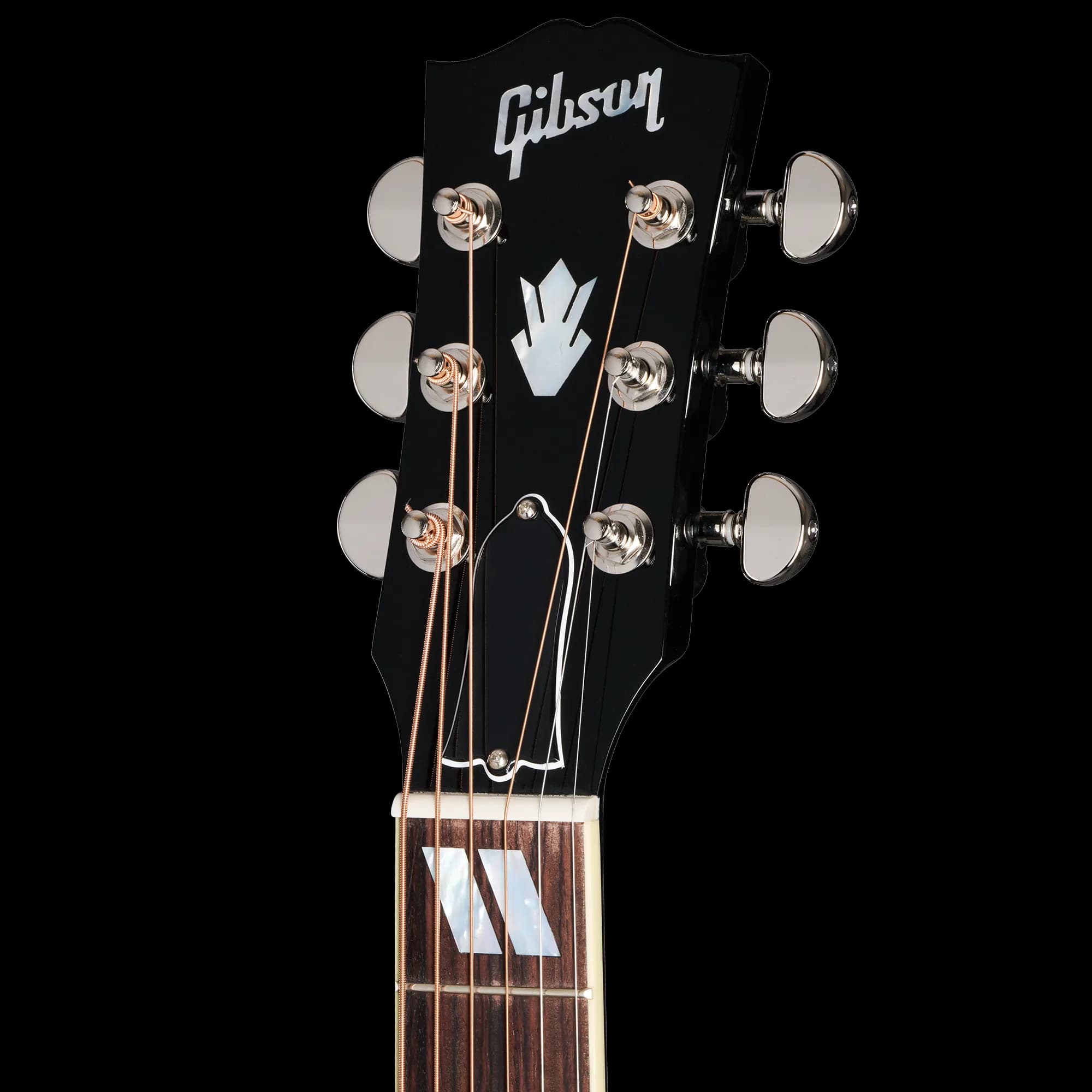 Gibson Hummingbird Standard EC, Ebony, Exclusive — photo 4