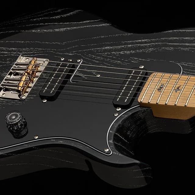 PRS SE NF 53 — photo 2