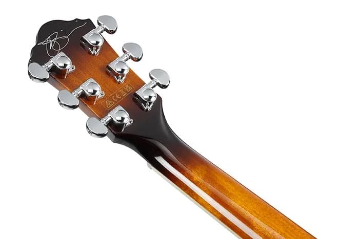Ibanez JSA5 — photo 2