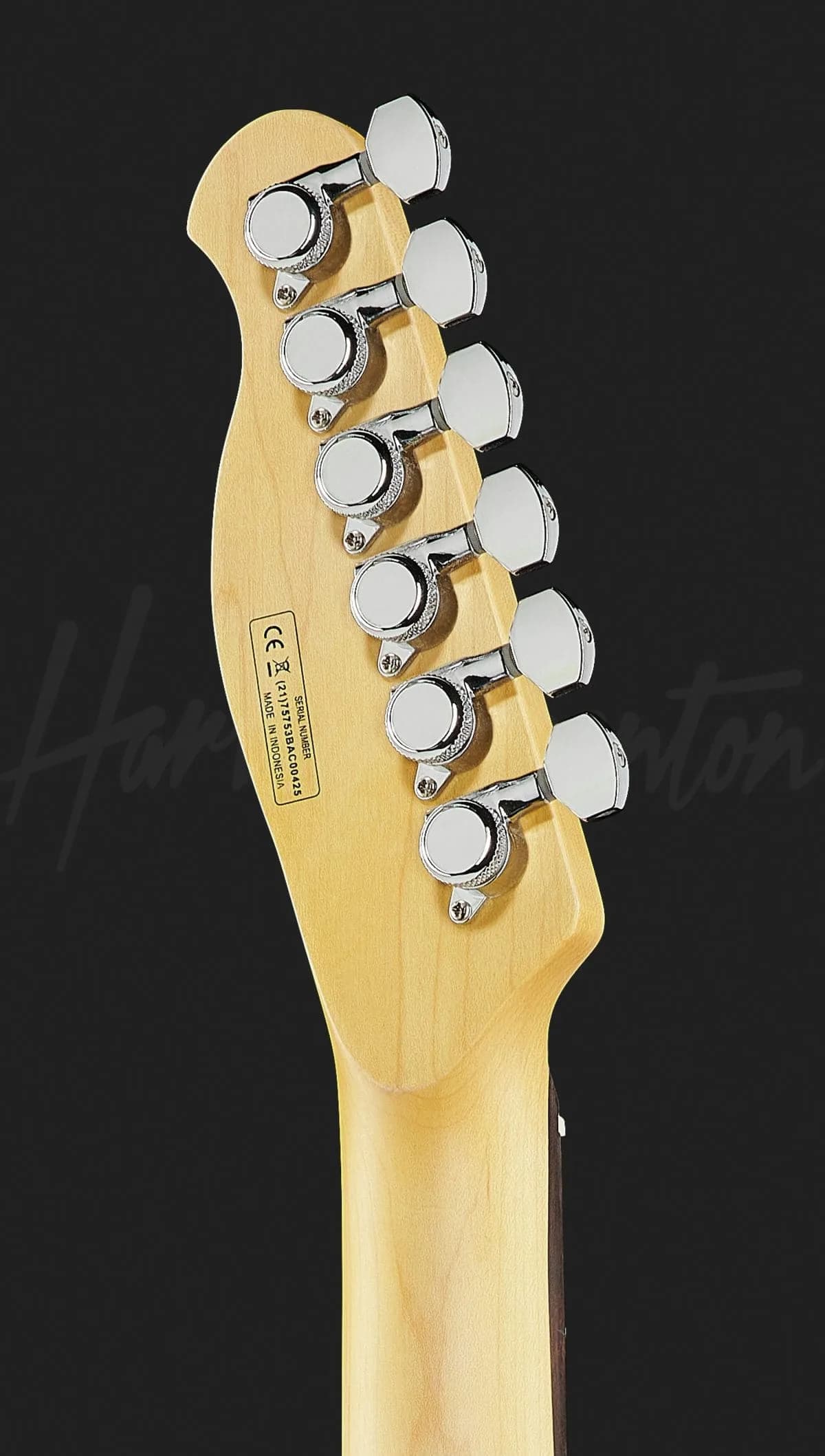 Harley Benton Fusion-T HH EB BK — photo 7