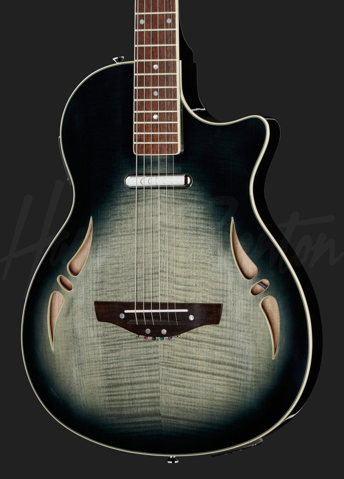 Harley Benton Nashville-Steel — photo 4