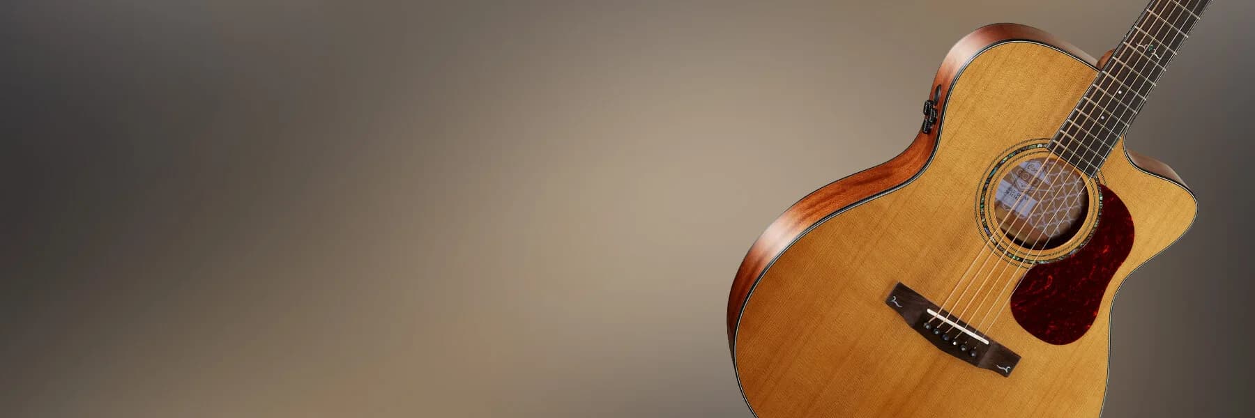 Cort Gold-OC6
