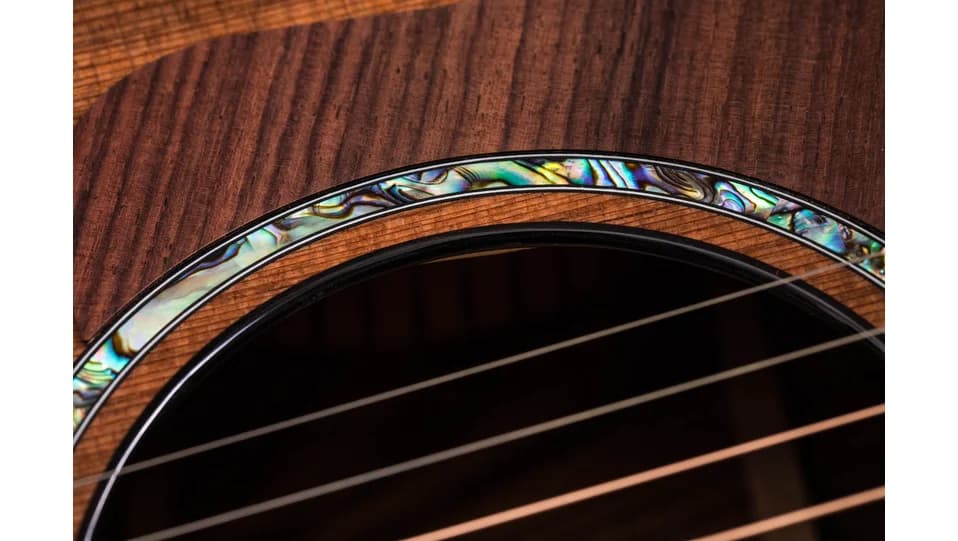 Taylor PS14ce Honduran Rosewood — photo 6