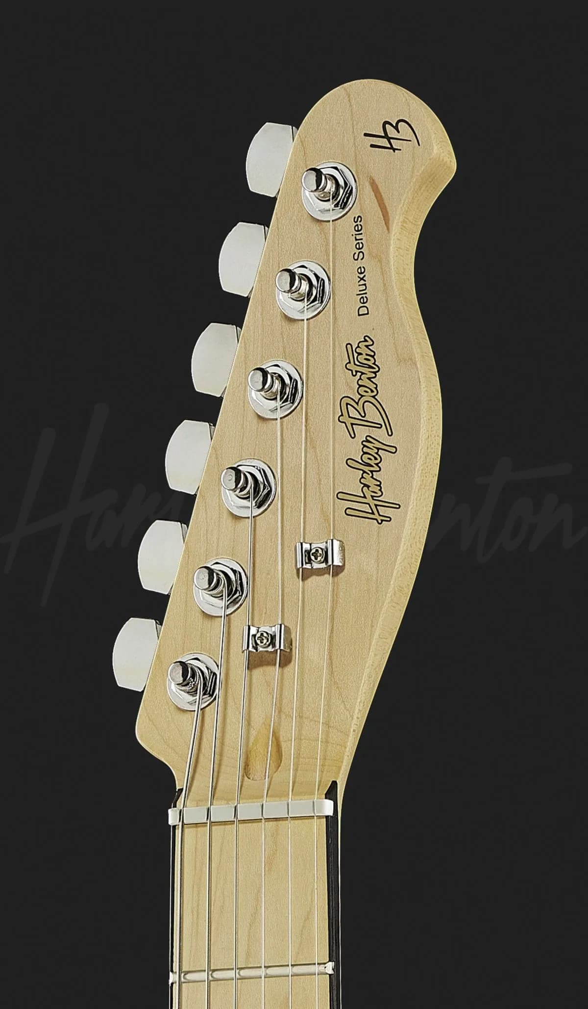 Harley Benton TE-80 NA — photo 6